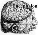 encephalon.jpg