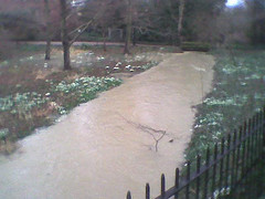 Image0004