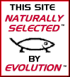 evolution.gif