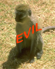 EVIL.jpg