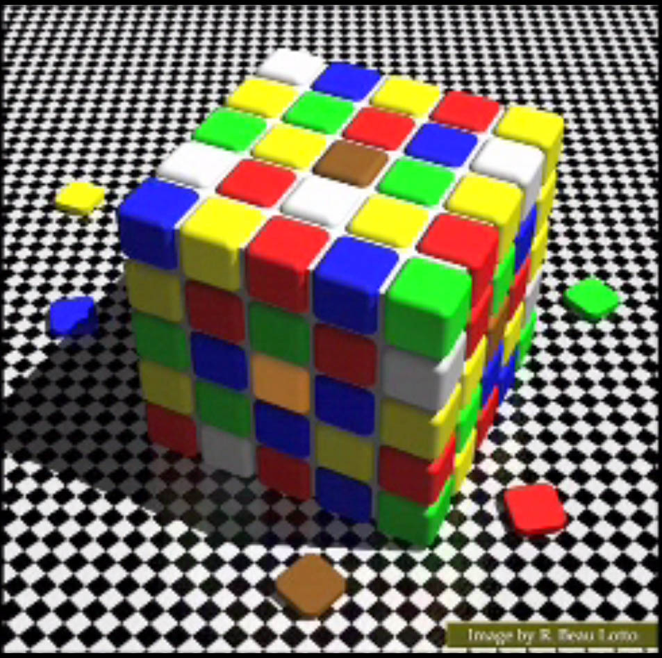 beau-lotto-color-cube-1.jpg