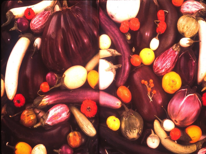 eggplant.jpg