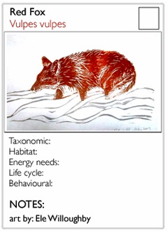 foxscq.jpg